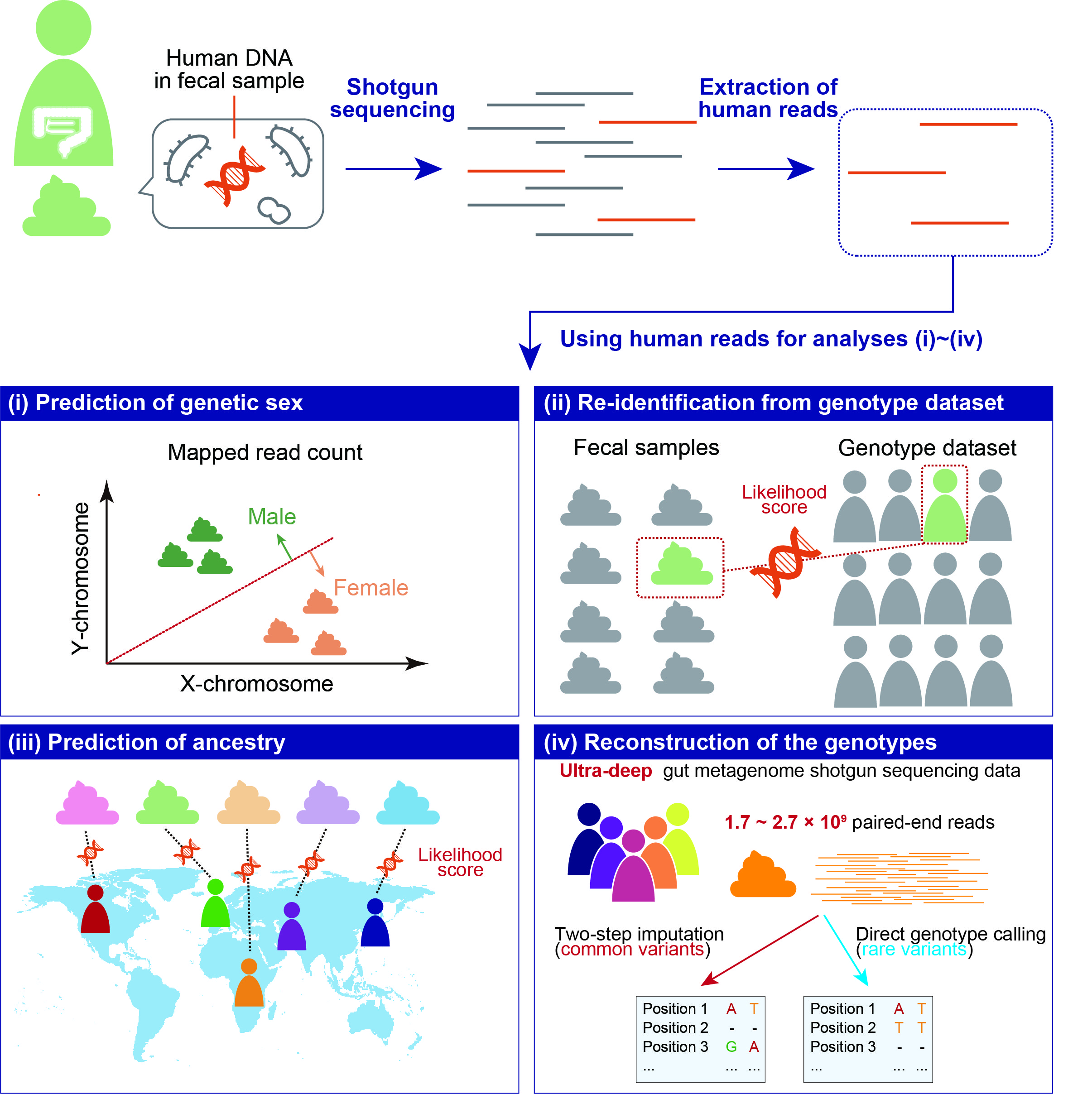 Study overview