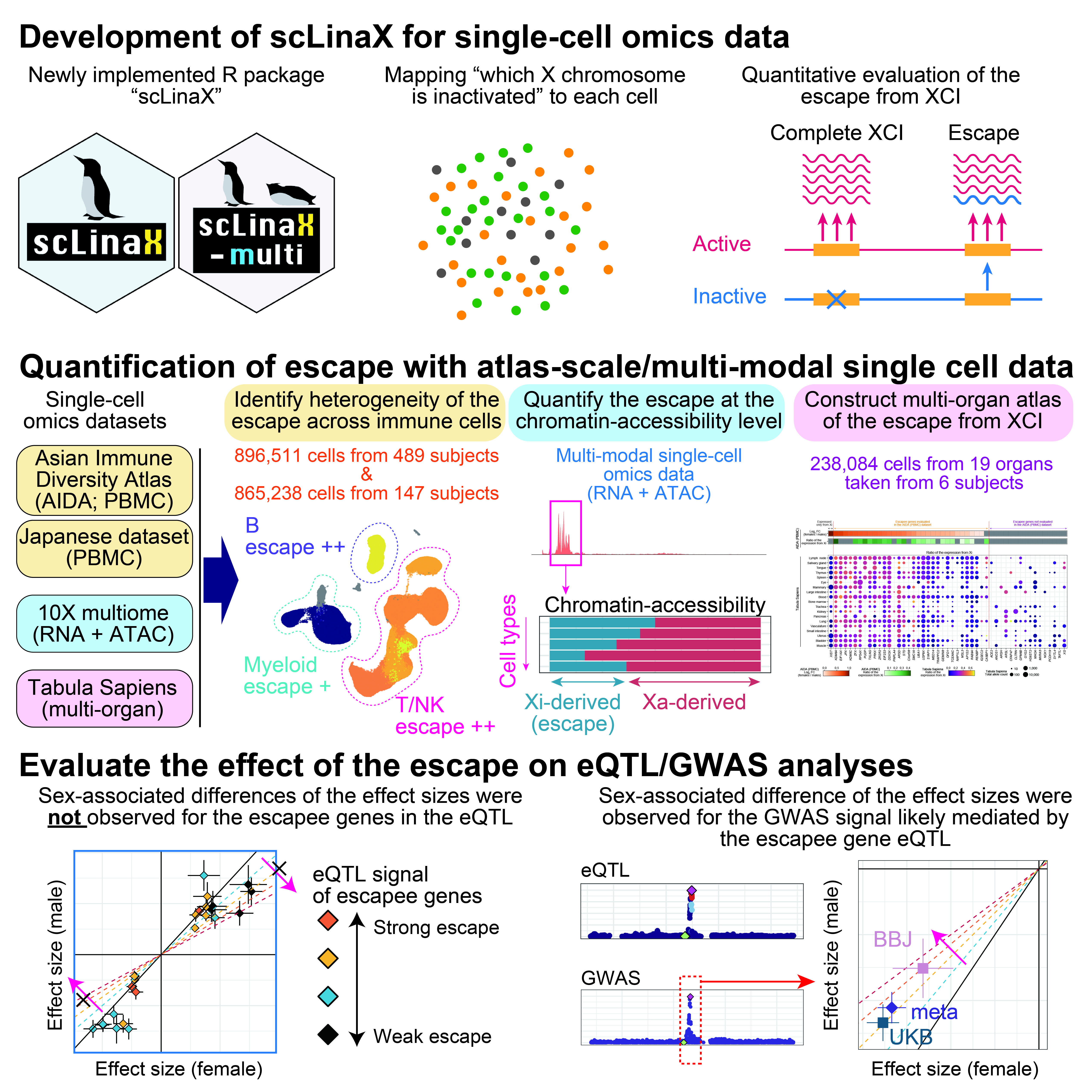 Study overview