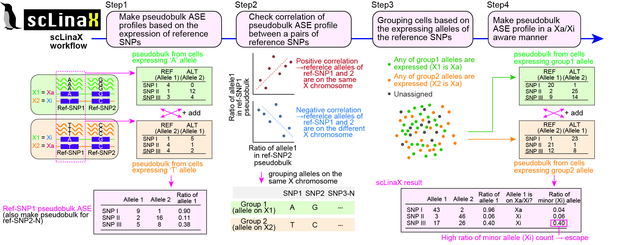 Study overview