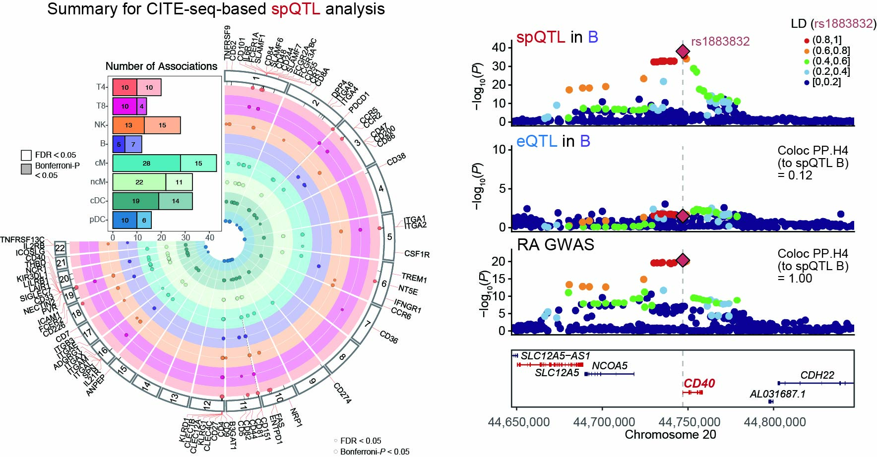 CITEseq spQTL