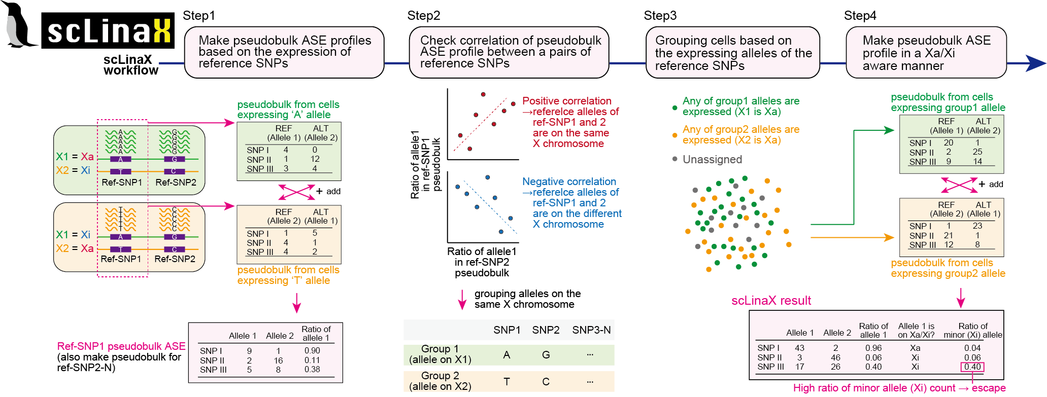 Overview of scLinaX